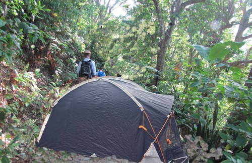 Blue Mountains National Park RV Rental | Surrounded by the forest is the Ohyo 3-Person Tent