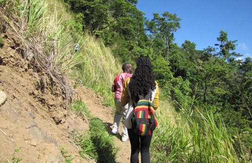 Blue Mountains National Park RV Rental | Surrounded by the forest is the Ohyo 3-Person Tent