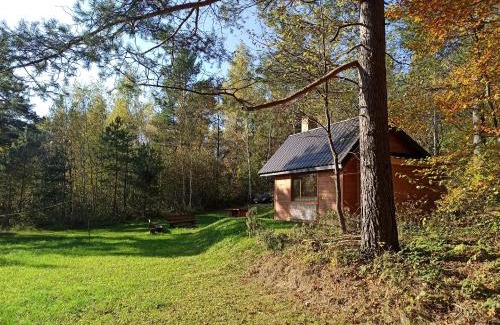 Bukowsko Ski Chalet | Survivalowa chata w lesie