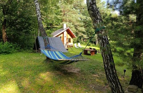 Bukowsko Ski Chalet | Survivalowa chata w lesie