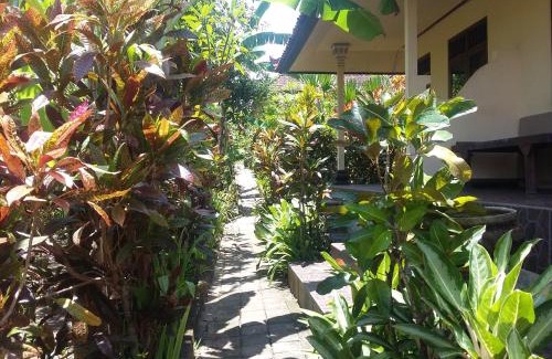 Suraberata Bed & Breakfast | Surya Homestay