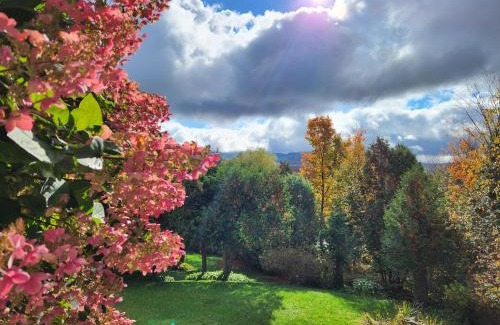 Sutton Villa | Sutton's montagne view