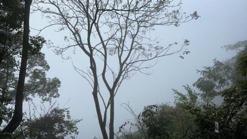 Alishan House | SuWaNa
