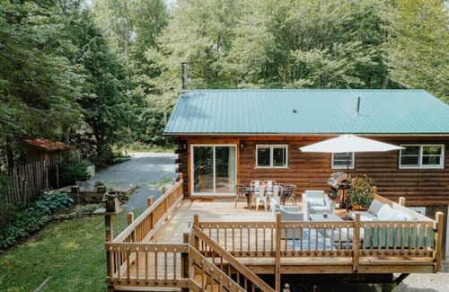 Swan Lake House | Swan Lake Lakefront Cozy Modern Home w/cabana, central air, kids room. n