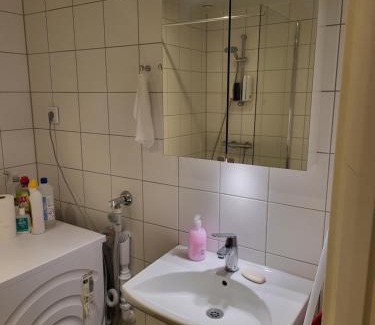 Orebro Apartment | Swed House