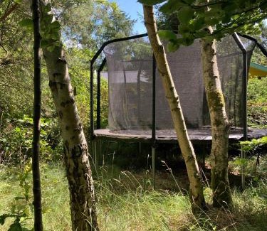 Sjllands Odde House | Swedish-Inspired Home In Odden's Forest