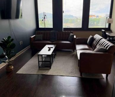 Downtown Pittsburgh Apartment | Sweeping Stadium Views TOP LOCATION BEST VIEWS FAST WIFI 24-7 Gym Lounge Roku
