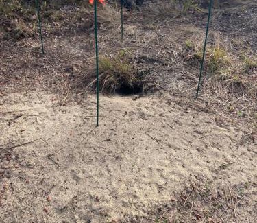 Homosassa House | Sweet retreat in the springs NOT waterfront property