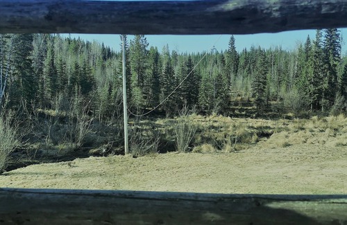 Regional District of Fraser-Fort George House | Sweetwater <3 Log home on 150 acres w/ creek views