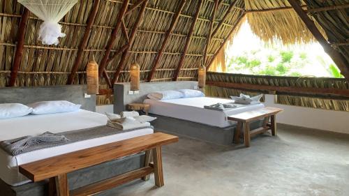 El Paredon Hotel | Swell