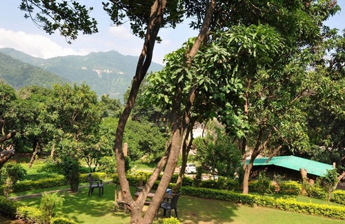 Tapovan Cottage | Swiss Cottage in Tapovan