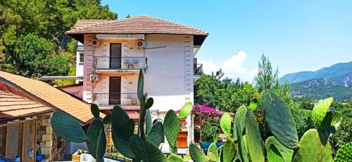 Adrasan Hotel | Swiss Eviniz Hotel