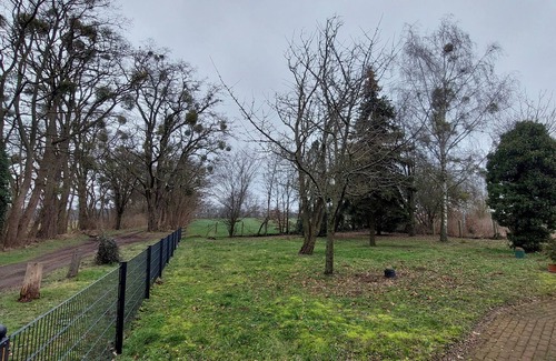 Reichenow-Moglin House | Switch off in a quiet location on the edge of the forest