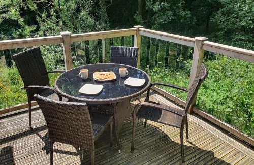 Battle Ski Chalet | Swn Y Nant Lodge with hot tub Brecon