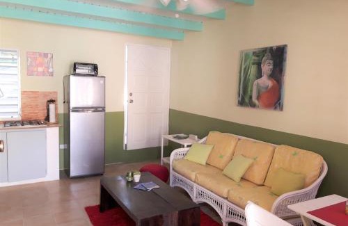 Beacon Hill Apartment | SXM Spotters Paradise