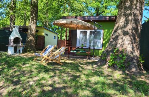 Milicz Apartment | Szpak i Gil - domki letniskowe w Dolinie Baryczy