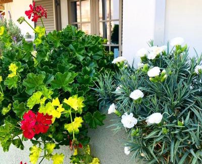 Asprovalta Apartment | T H E BERLIN Studios and Suites