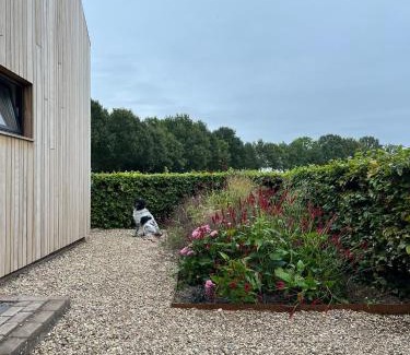 Baak Bed & Breakfast | 't Holtslag