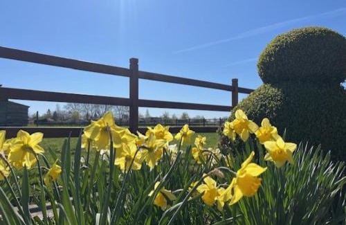 Stokkem Bed & Breakfast | 't Steenenhuys