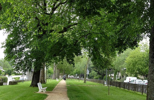 Les 3 Cites Apartment | T1 of 36 m2 in a green setting, very bright, completely renovated