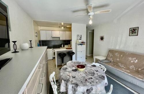 Balaruc-les-Bains Apartment | T2 à Balaruc-les-Bains, Clim, Parking, 4 pers - FR-1-503-150