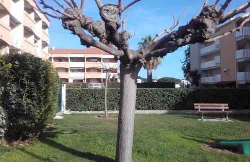 Les Sablettes Apartment | T2 air-conditioned 6 people VAR summer 2022