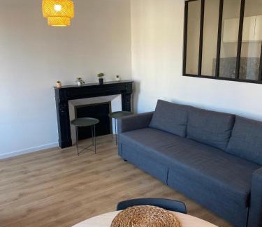 Castres Apartment | T2 Hypercentre Jean Jaurès
