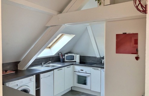 Robertsau Apartment | T2, proximity to European institutions, beginning of Robertsau