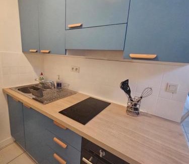 Bourges Apartment | T2 Vue Cathédrale Centre ville