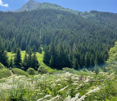 Champagny-en-Vanoise Apartment | T2 vue sur le parc de la vanoise