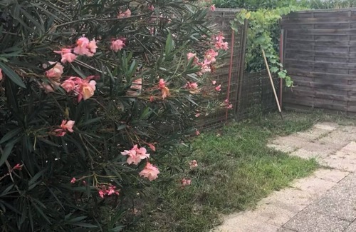 Eysines Apartment | T3 : charming little nest + private garden 80m2