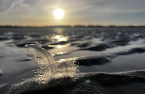 Fort-Mahon-Plage Apartment | T3 duplex hyper center fort mahon 700 meters from the beach close to all shops.