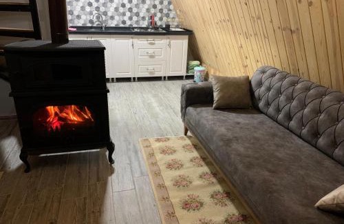 Black Sea Coast Other | Taşköprü Bungalow Otel Alabalık Tesisi
