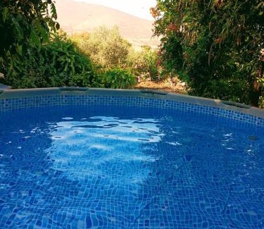 Gilboa Cabin | Tafat's Haven Lodge