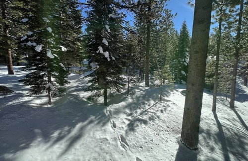 Pioneer Trail Cabin | Tahoe cabin
