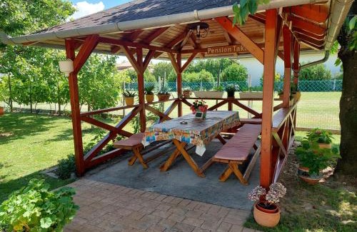 Gyenesdias Apartment | Takács-ház
