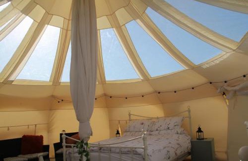 Llangeinor Other | Tal-y-fan farm 6m stargazer tent