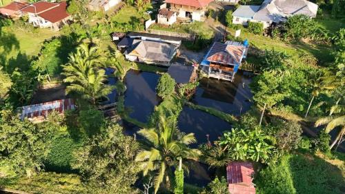 Tomohon House | Talaga Tomohon Home Stay and Fishing Pond