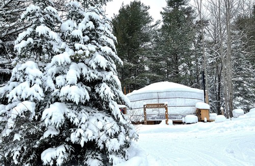 Minden Hills Apartment | Tall Pines Nature Retreats - L’Orange Yurt