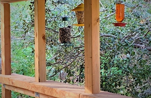 Julian House | Tall Timbers Treehouse On 25 Acres