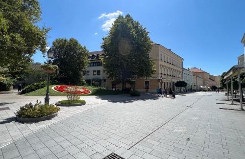 Szekesfehervar Apartment | Tamás Apartman