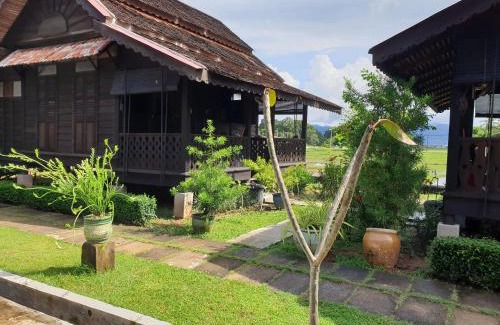Kampung Kedawang House | tanabendang banglos
