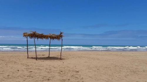 Asilah Beach Apartment | Tanger Beach Appartement en Face plage Houara Golf Resort