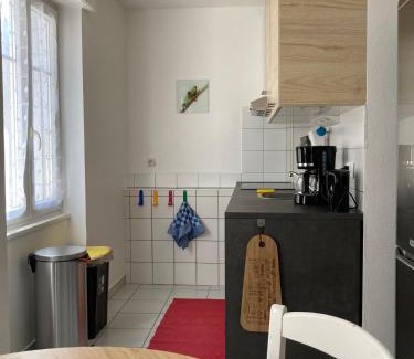 Mulhouse Apartment | TANGO appartement de charme calme 75m2 6 pers,2 chambres,patio