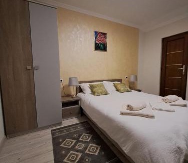 Sighetu Marmatiei House | TaniRoom