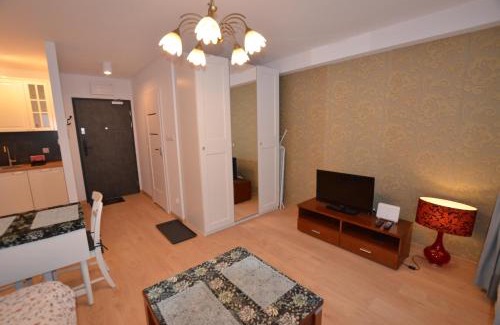 Stare Miasto District Apartment | Tarasy Wilczak 16d