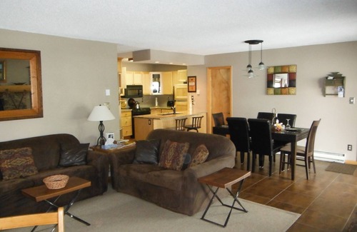 Crested Butte Condo | Tastefully Remodeled, Spacious,Luxury, Calm and Peaceful