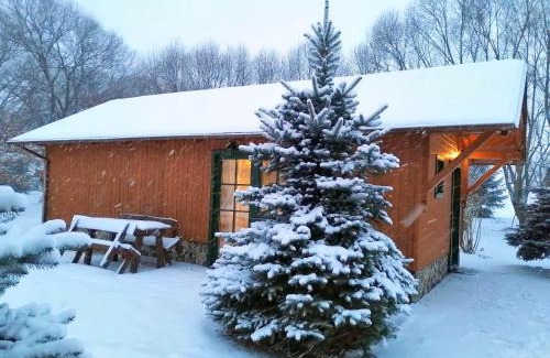 Liptovsky Mikulas Ski Chalet | Tatralandia Chatka SnoWiki