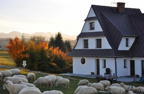 Czerwienne Apartment | TATRY NA WYPASIE