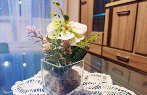 Taurage Apartment | Taurage 2 room apartment
